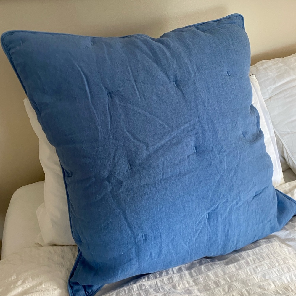 Pottery Barn Pillow Shams set of 2